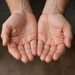 photographic pair of hands palms up