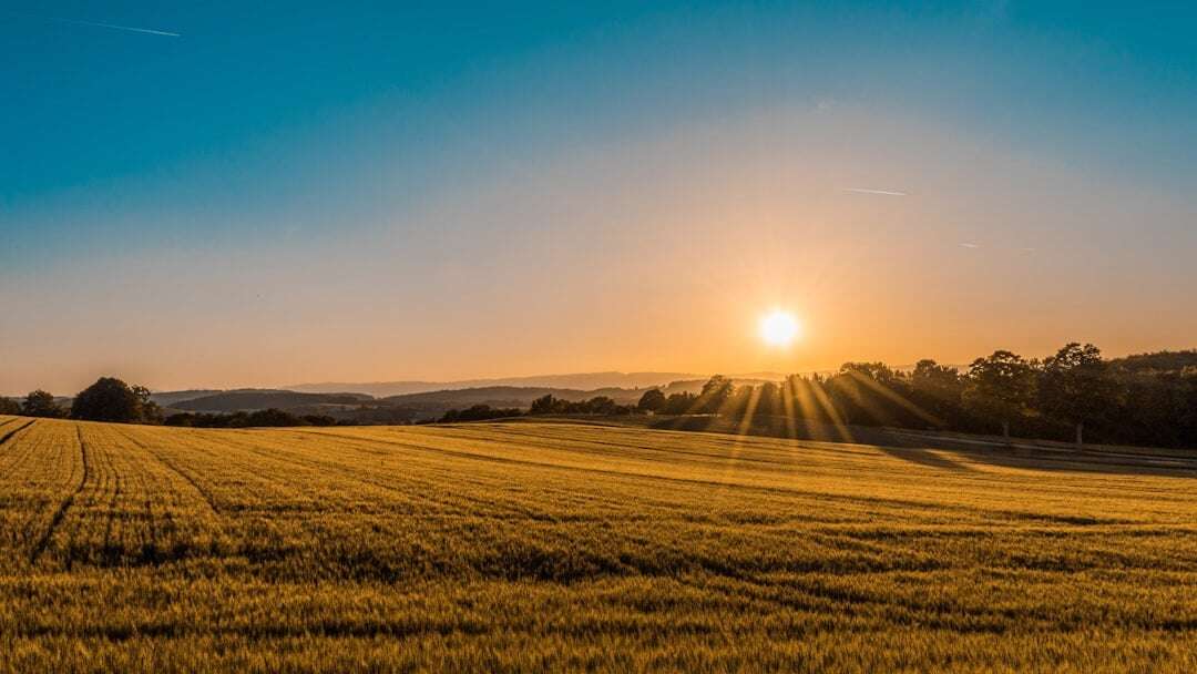 sun in sky overlooking field