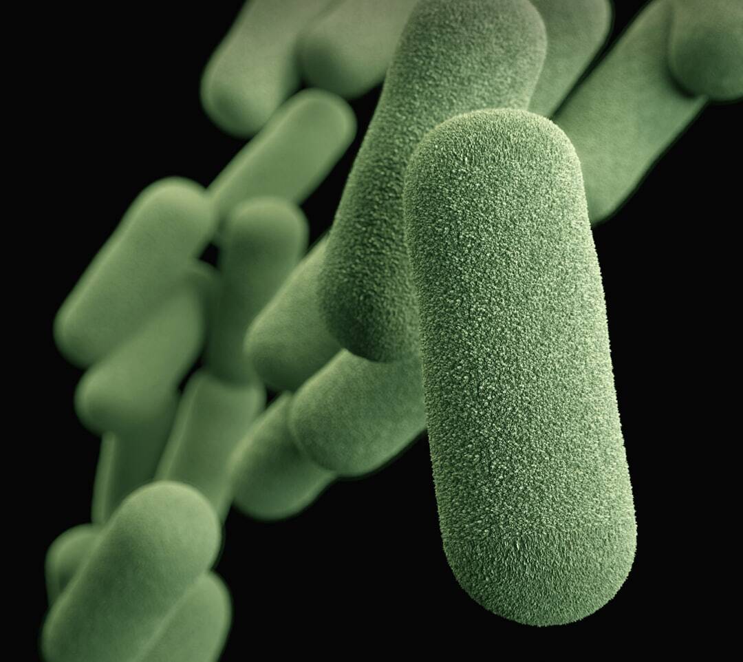 fuzzy green capsule shaped objects floating with black background